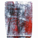federn - druck auf papier - 30 cm x 40 cm 