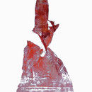 bewegte hand- druck auf papier - 30 cm x 40 cm 