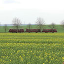 Auf der Museumsbahn im Warnetal - Zwischen dem Gut Lüderode und dem Bahnhof Klein Mahner