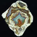 8 x 9 cm