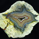 10 x 8 cm