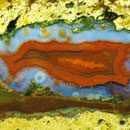 3,5 x 2cm