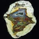 9,5 x 8 cm