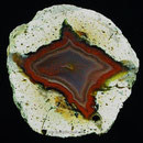 Ø 5,5cm