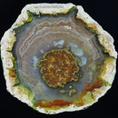 Ø 8cm