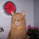 25.10.2007 - Es ist kurz vor zwölf ...