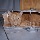 31.12.2006 - Ich bin ein Geschenk ....