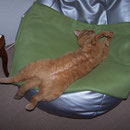 06.07.2004 - Dieser Sitzsack ist wie für mich geschaffen ...