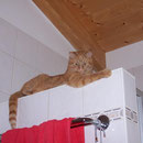 24.08.2004 - Der "Spanner" in unserem Bad ...