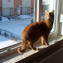 18.02.2005 - Ich schaue mir an, was da weißes draußen rumliegt ...