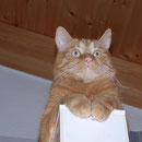 29.09.2005 - Komm heute hier nicht mehr runter ...