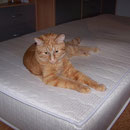 06.07.2004 - Auf so einer Matratze hat man schön Platz ...