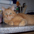 06.09.2007 - Jetzt muss ich mein Futter immer teilen ...