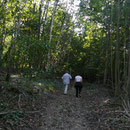 environnement nature et randonnée gite rural Saint Quentin Aisne Laon Noyon Compiegne Peronne