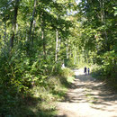randonnée sur une ancienne route dans la forêt au dessus du village gite campagneSaint Quentin Aisne Laon Noyon Compiegne Peronne