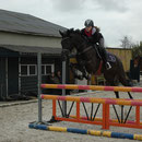 Hattrick Quintos. Obstacle, M Level. Dressage, L1 level.