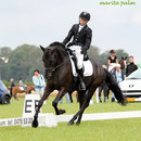 Hattrick Phill, alias Bugatti. 2012 : Champion des Pays Bas, Z1 Dressage Tourne actuellement en Z2 (niveau FEI)
