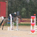 22/03/14.Venus Pearl, SF, CCJPS 5 ans C, Quincampoix