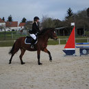 Quelly Pearl, Poney 2 Vitesse, Chateaudun.