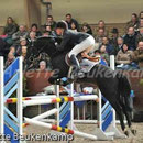 Mikel (NL) sous la selle de Renate Beuving aux Pays Bas