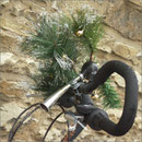 Dezember 2009