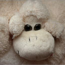 Dezember 2009