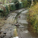 Dezember 2009