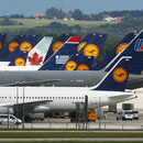 Wiese der Kranichvögel, Flughafen München (Foto: Uwe Kragl)