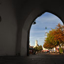 Weiden (Foto: Zaneta Weidner)