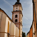 Weiden (Foto: Zaneta Weidner)