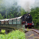 Nostalgiezug zwischen Behringersmühle und Ebermannstadt (Foto: Uwe Kragl)