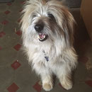 Eroy 13 jährig / 13 ans