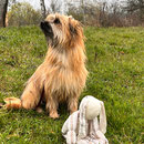 Tessa Frohe Ostern