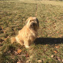 Rila