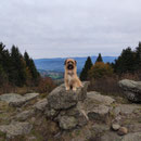 Ria