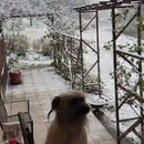 Ria: es ist Mitte April :-(