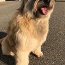 Fanta (Fantasie 13 ans)