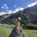 Ria dans les Pyrénées / Ria in den Pyrenäen
