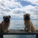 Jolie + Ramon