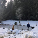 Ria: Curling en Bavière / Eisstockschiessen in Bayern