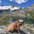 Sira: magnifiques les montagnes Suisse / Sira: die schweizer Berge sind wunderschön