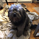 Lenny (Fanu)