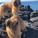 Jolie + Ramon en Sicilie / Jolie + Ramon auf Sizilien