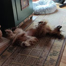 Ria: relax
