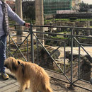 Ramon sightseeing