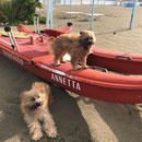 Jolie + Ramon passent l'hiver en Italie / Jolie + Ramon verbringen den Winter in Italien