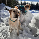 Sira et son ami: petite pause après une randonnée en raquette / kleine Pause nach einer Skischuhtour