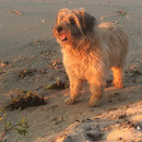 Fantasie 13 Jahre alt/ 13 ans