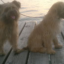 Jolie + Ramon