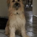 Lola